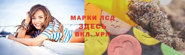 ГАЛЛЮЦИНОГЕННЫЕ ГРИБЫ Богданович